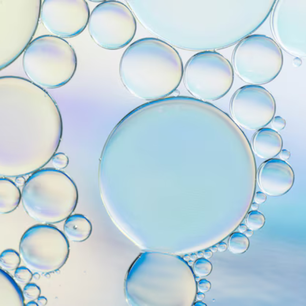 Untitled_design_12.png